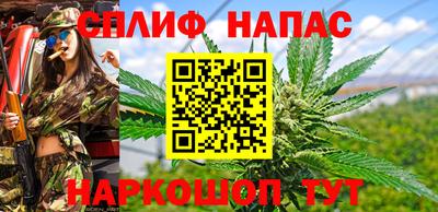 стаф Заволжье