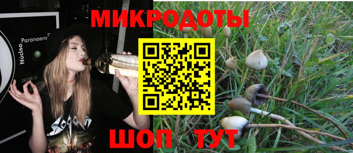 хочу   Вход с VPN  Галлюциногенные грибы Cubensis  Тында  Галлюциногенные грибы мицелий 